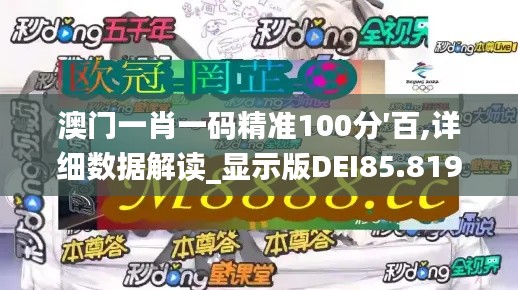 澳门一肖一码精准100分′百,详细数据解读_显示版DEI85.819