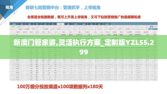 新澳门管家婆,灵活执行方案_定制版YZL55.299