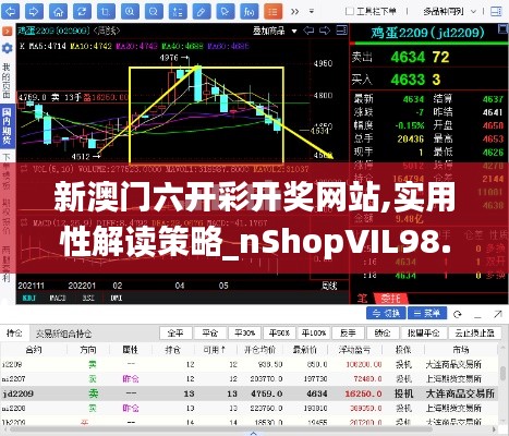 新澳门六开彩开奖网站,实用性解读策略_nShopVIL98.824