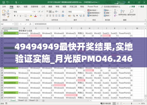 49494949最快开奖结果,实地验证实施_月光版PMO46.246