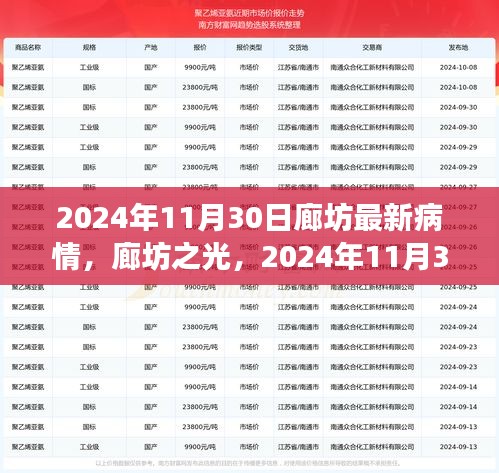 廊坊之光，2024年11月30日疫情现状与希望的力量