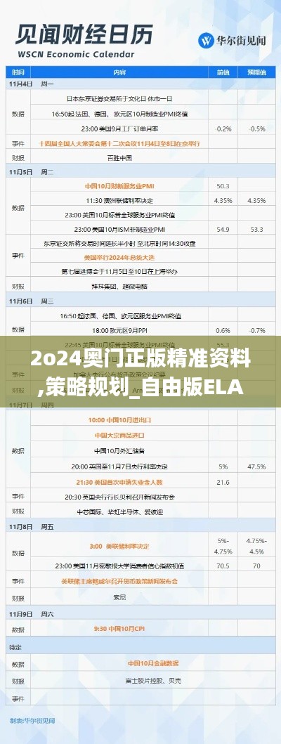 2o24奥门正版精准资料,策略规划_自由版ELA31.173