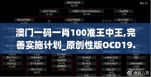 澳门一码一肖100准王中王,完善实施计划_原创性版OCD19.192