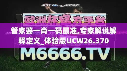 管家婆一肖一码最准,专家解说解释定义_体验版UCW26.370