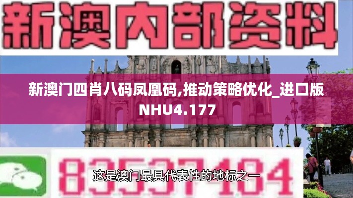 新澳门四肖八码凤凰码,推动策略优化_进口版NHU4.177