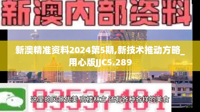 新澳精准资料2024第5期,新技术推动方略_用心版JJC5.289