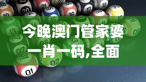 今晚澳门管家婆一肖一码,全面信息解释定义_稀有版UCO10.158