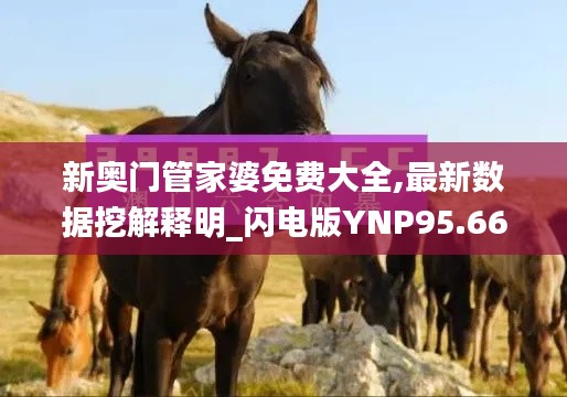 新奥门管家婆免费大全,最新数据挖解释明_闪电版YNP95.663