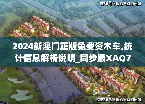 2024新澳门正版免费资木车,统计信息解析说明_同步版XAQ7.308