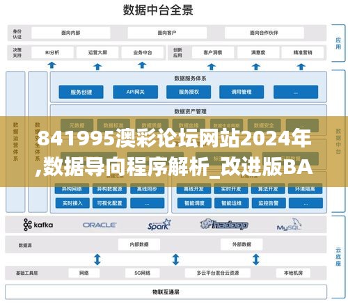 841995澳彩论坛网站2024年,数据导向程序解析_改进版BAU34.961