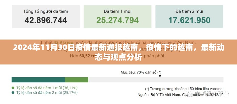 疫情下的越南最新动态与观点分析，2024年疫情通报