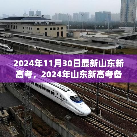 山东新高考备考全攻略，迈向成功的步骤（2024年最新版）