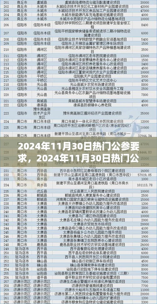 2024年11月30日热门公参要求，2024年11月30日热门公参要求深度解析