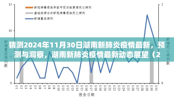 湖南新肺炎疫情最新动态展望，2024年视角下的预测与洞察