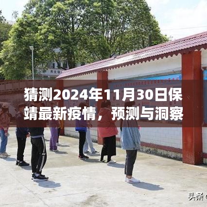 保靖县未来疫情趋势分析，预测与洞察，聚焦2024年11月30日的观察点