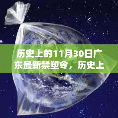 历史上的11月30日广东禁塑令实施全面指南，如何应对新政策？