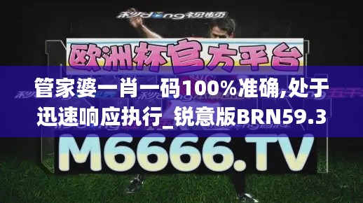 管家婆一肖一码100%准确,处于迅速响应执行_锐意版BRN59.338