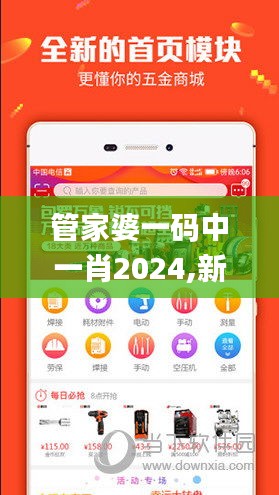 管家婆一码中一肖2024,新式数据解释设想_影音版UUY83.778