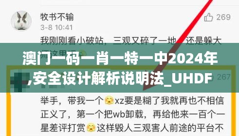 澳门一码一肖一特一中2024年,安全设计解析说明法_UHDFFE22.502