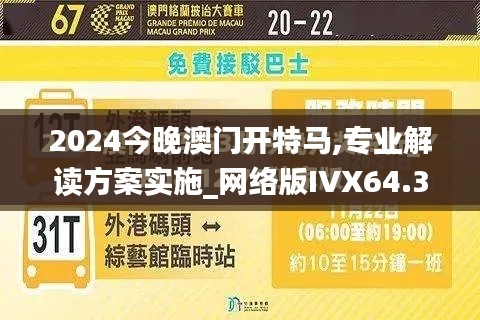 2024今晚澳门开特马,专业解读方案实施_网络版IVX64.315