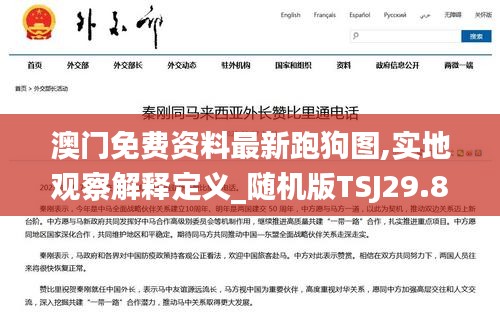 澳门免费资料最新跑狗图,实地观察解释定义_随机版TSJ29.824