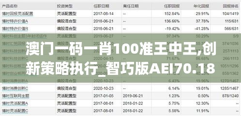 澳门一码一肖100准王中王,创新策略执行_智巧版AEI70.181