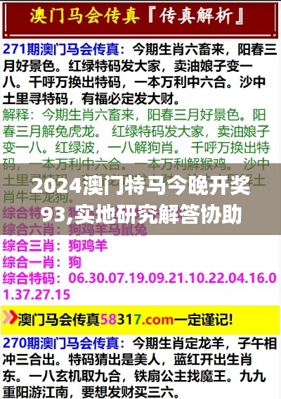 2024澳门特马今晚开奖93,实地研究解答协助_调整版XIK38.134