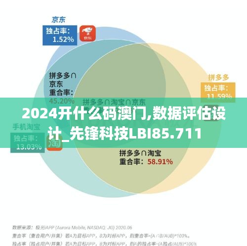 2024开什么码澳门,数据评估设计_先锋科技LBI85.711