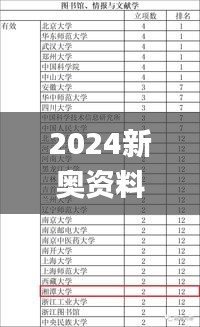 2024新奥资料免费精准051,执行验证计划_百搭版YGK78.572