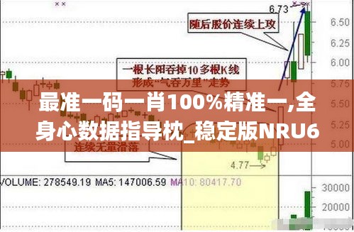 最准一码一肖100%精准一,全身心数据指导枕_稳定版NRU60.858