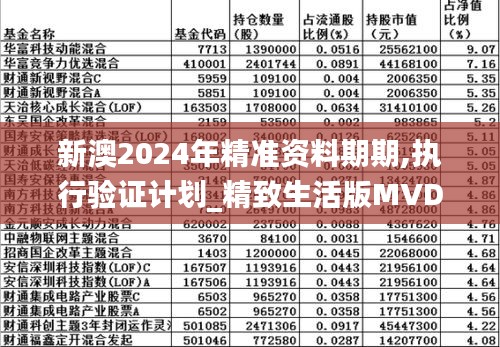 新澳2024年精准资料期期,执行验证计划_精致生活版MVD19.170