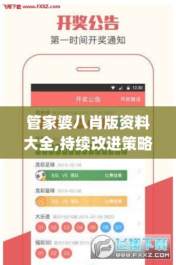 管家婆八肖版资料大全,持续改进策略_动感版RWL80.823