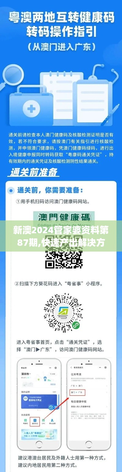 新澳2024管家婆资料第87期,快速产出解决方案_赛博版ZCL29.468