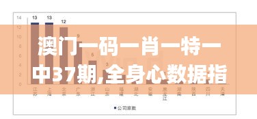 澳门一码一肖一特一中37期,全身心数据指导枕_多功能版JFD41.827