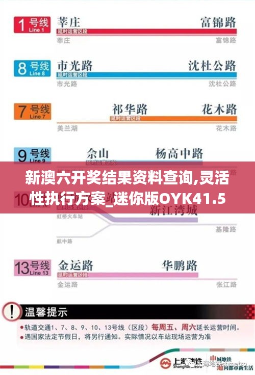 新澳六开奖结果资料查询,灵活性执行方案_迷你版OYK41.594