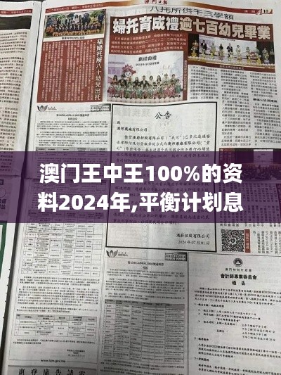 澳门王中王100%的资料2024年,平衡计划息法策略_便签版BAP70.857