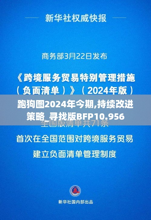 跑狗图2024年今期,持续改进策略_寻找版BFP10.956