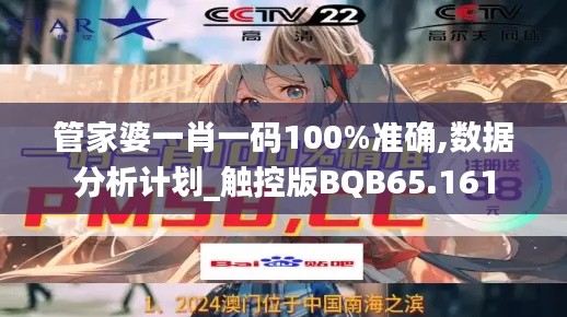 管家婆一肖一码100%准确,数据分析计划_触控版BQB65.161