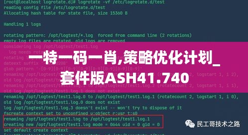 一特一码一肖,策略优化计划_套件版ASH41.740