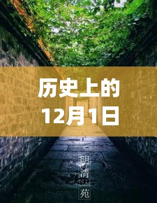 历史深处的探秘，特色小店与QQ2015最新版下载之旅