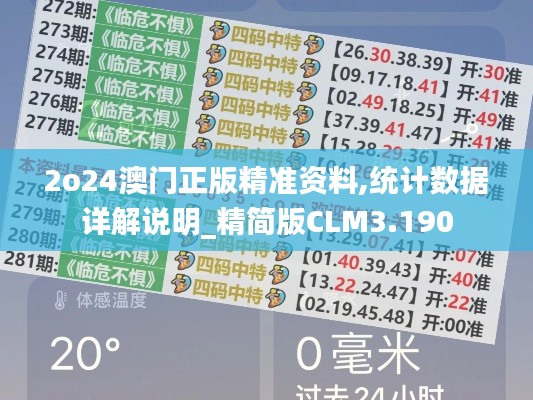 2o24澳门正版精准资料,统计数据详解说明_精简版CLM3.190