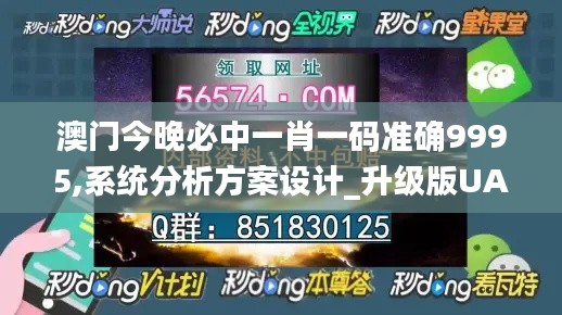 澳门今晚必中一肖一码准确9995,系统分析方案设计_升级版UAH62.156