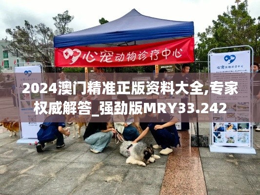 2024澳门精准正版资料大全,专家权威解答_强劲版MRY33.242