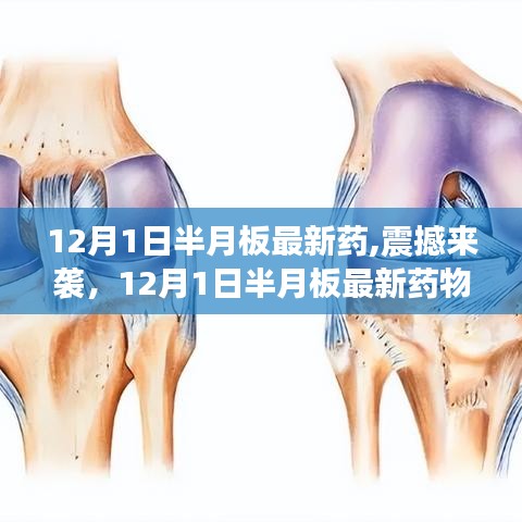 12月1日半月板最新药物科技重塑生活品质