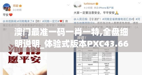 澳门最准一码一肖一特,全盘细明说明_体验式版本PXC43.665