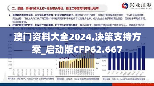 澳门资料大全2024,决策支持方案_启动版CFP62.667