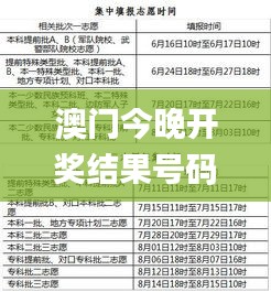 澳门今晚开奖结果号码,安全性方案执行_方案版FBX11.651