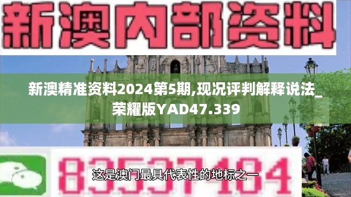 新澳精准资料2024第5期,现况评判解释说法_荣耀版YAD47.339