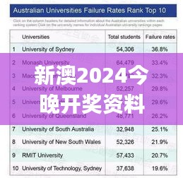 新澳2024今晚开奖资料,实地验证实施_生活版NVX78.141