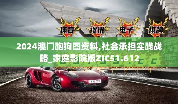 2024澳门跑狗图资料,社会承担实践战略_家庭影院版ZIC51.612